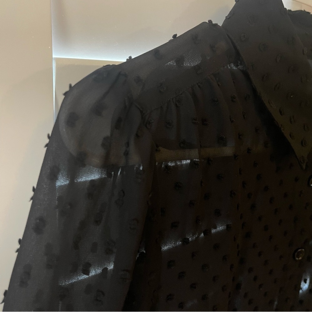 Modcloth Black Long-Sleeve Sheer Polka Dot Blouse, Small - Picture 6 of 12